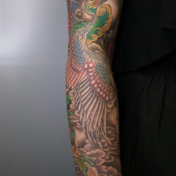 Bright, detailed and colourful, traditional Japanese phoenix tattoo. Tattooes in a fine line style by Harriet Street in Brighton, UK