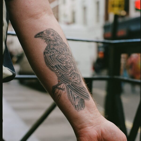 Client's forearm with a healed tattoo of a Raven in black. The Raven is perched on a brush stroke style branch by Harriet Street, based in Brighton at Nowhere Tattooing