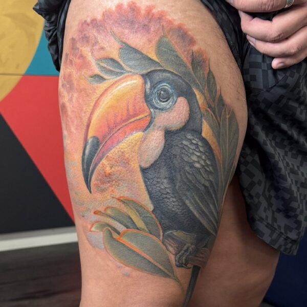A colorful toucan tattoo in a hyper-realistic style by artist Alex Rufio. Alex is based at Nowhere Tattoo Shop and is always open to taking on new clients/projects.