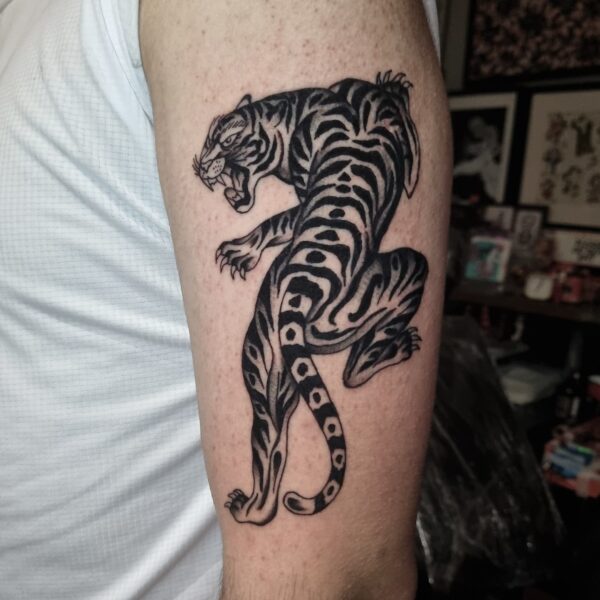 Traditional climbing tiger tattoo in black and grey by UK based artist Edoardo Cucchelli.